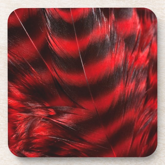 Soft Red and Black Feathers Coaster (Front)