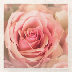 Soft Rose Blush Glass Coaster