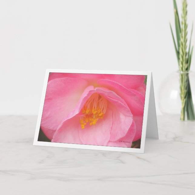 Soft rose camelia card (Front)