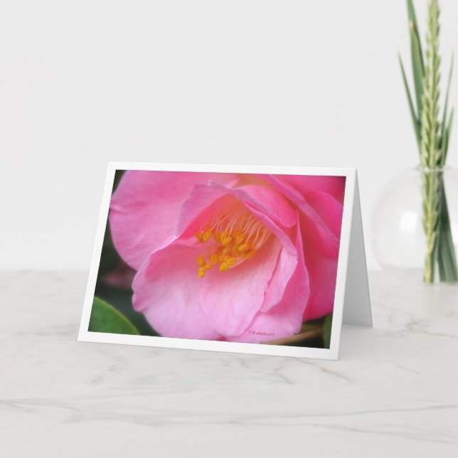 Soft rose camelia side view card (Front)