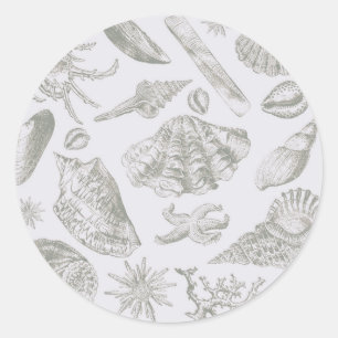 Soft Sage Grey Seashell Sketch Antique Nature Classic Round Sticker