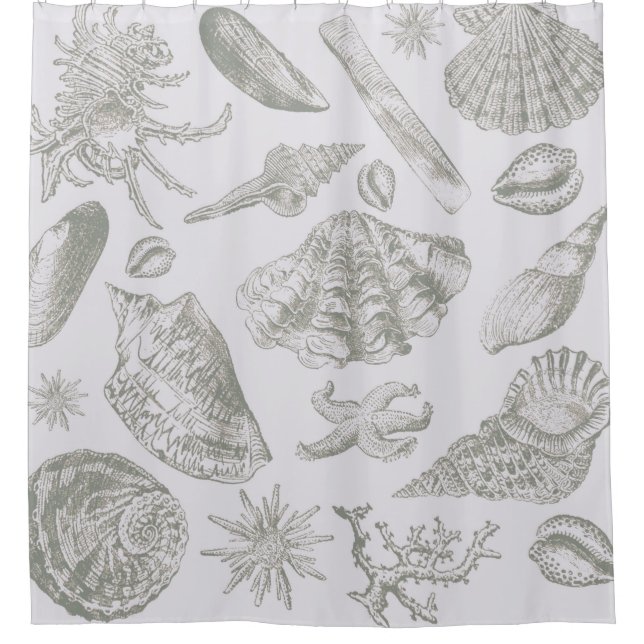 Soft Sage Grey Seashell Sketch Antique Nature Shower Curtain (Front)