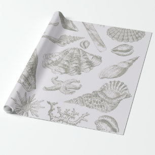 Soft Sage Grey Seashell Sketch Antique Nature Wrapping Paper