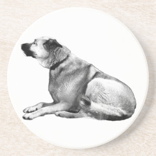 Soft Shadow Watch Coaster