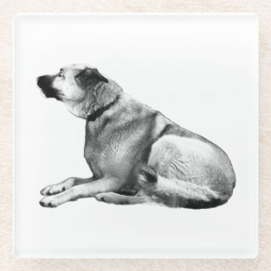 Soft Shadow Watch Glass Coaster