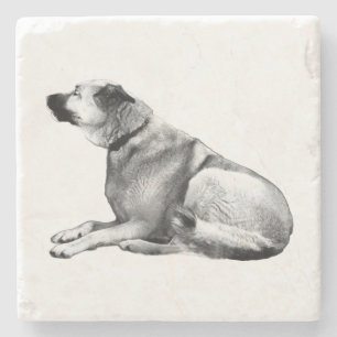 Soft Shadow Watch Stone Coaster