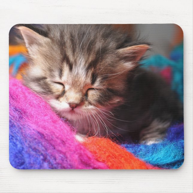 Soft Sleepy Newborn Kitten Phototgraph Mouse Mat (Front)
