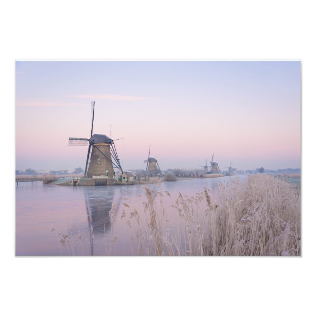 Soft sunrise light in winter over windmills photo print (Front)