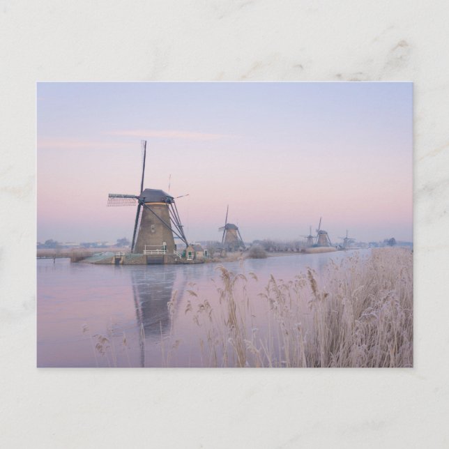 Soft sunrise light in winter over windmills postcard (Front)