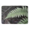 Soft Tint Ferns and Leaves