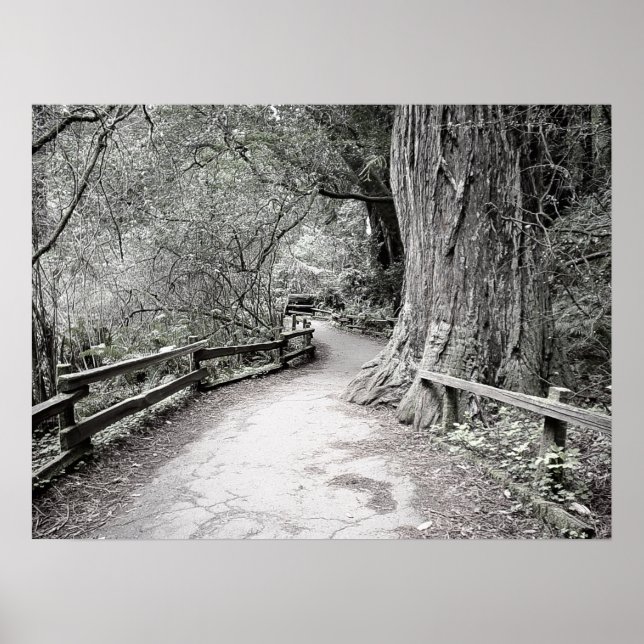 Soft Tint Rustic Path Through the Woods Poster (Front)