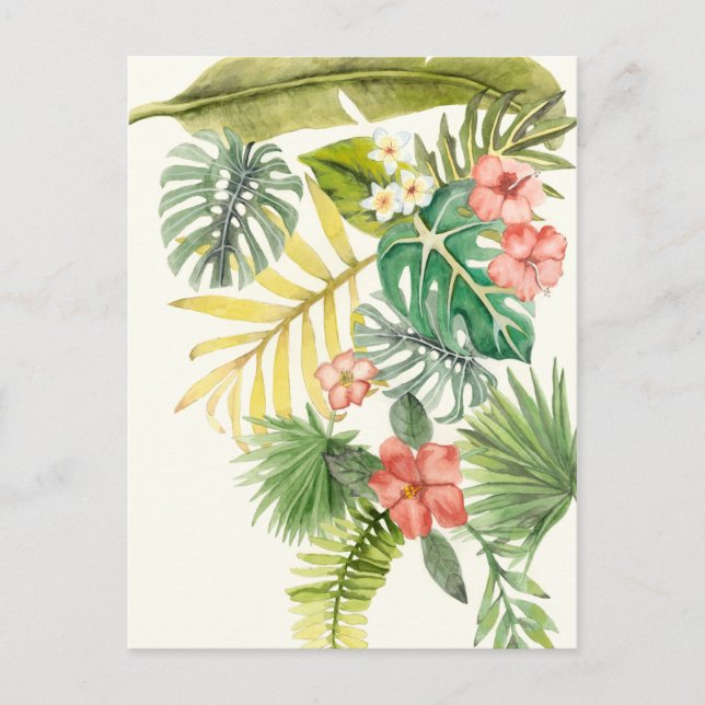 Soft Tropics Postcard (Front)