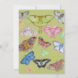 Soft Watercolor Butterfly Dance Invitation