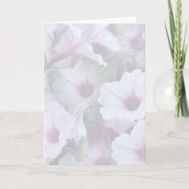 Soft White And Pink Greeting Card (Front)
