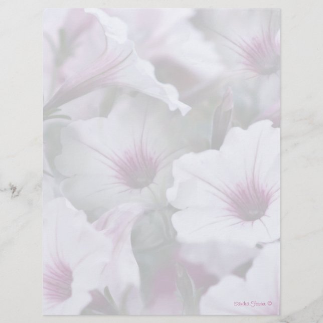 Soft White And Pink Petunias Letterhead (Front)