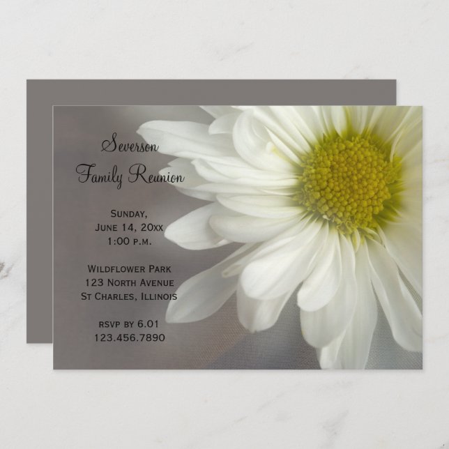 Soft White Daisy Family Reunion Invitation (Front/Back)