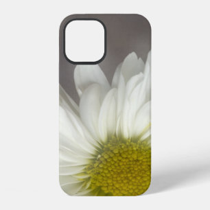 Soft White Daisy on Grey iPhone 12 Case