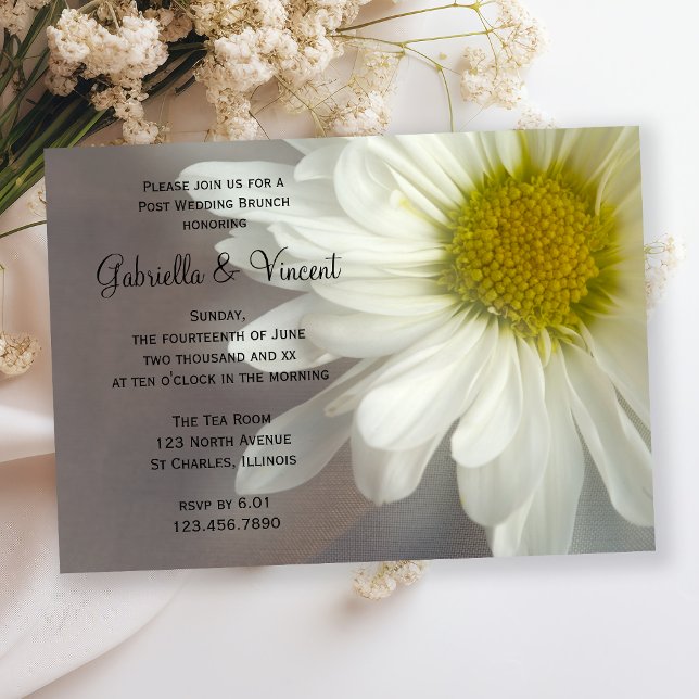 Soft White Daisy on Grey Post Wedding Brunch Invitation (Creator Uploaded)