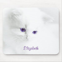 Soft White Kitten with Purple Eyes Personalised