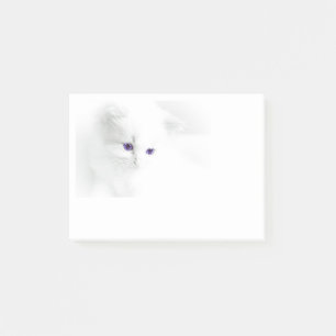 Soft White Kitten with Purple Eyes Post-it Notes