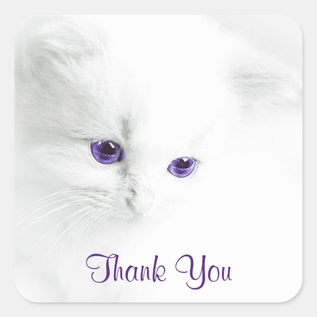 Soft White Kitten with Purple Eyes Thank You Square Sticker (Front)