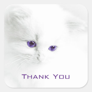 Soft White Kitten with Purple Eyes Thank You Square Sticker