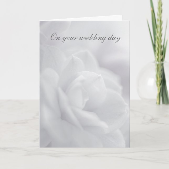 Soft white petals ... card (Front)