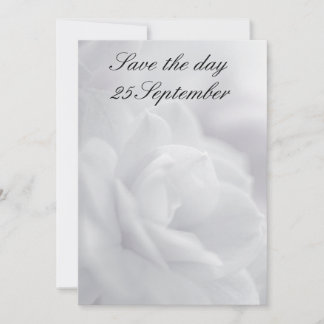 Soft white petals ... invitation
