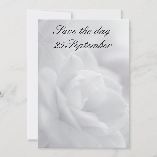 Soft white petals ... invitation (Front)