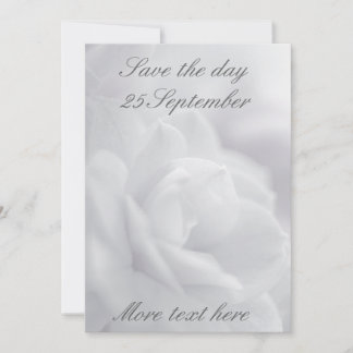 Soft white petals ... invitation