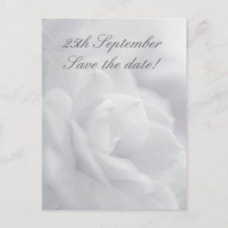 Soft white petals ... Save the date! Announcement Postcard