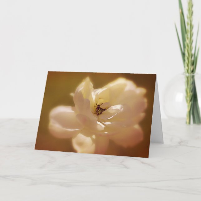 Soft White Rose Blank Note Card (Front)