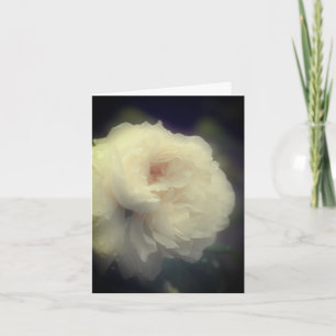 Soft White Rose Flower Customisable Note Card