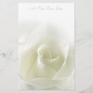 Soft White Rose  Stationery