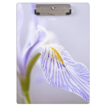 Soft Wild Iris