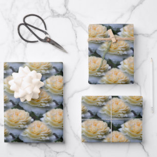 Soft Yellow Rose Flower Pattern Nature   Wrapping Paper Sheet