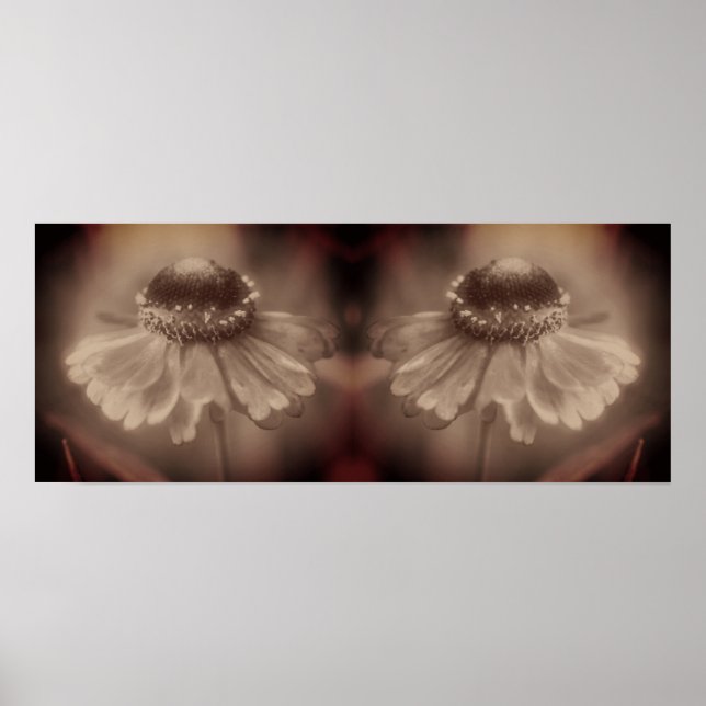 Soft Zinnia Daisy Flower Sepia Vintage Abstract Poster (Front)