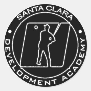 Softball Bat Sticker