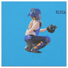 Softball Catcher And Stadium Painting