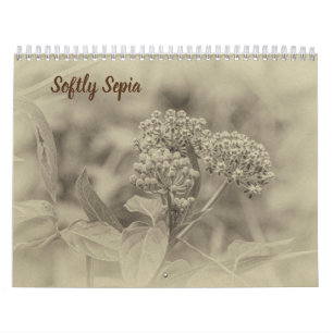 Softly Sepia Calendar