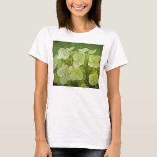 Softly T-Shirt