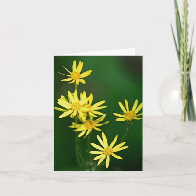 Softly Yellow Wildflowers Photography  Note Card (Front)