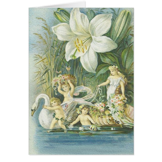 Softness - Fairies, Swan and Flower (Front)