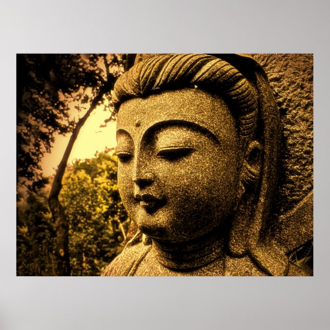 SOFTPEACE POSTER (Front)