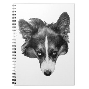softshade focus notebook