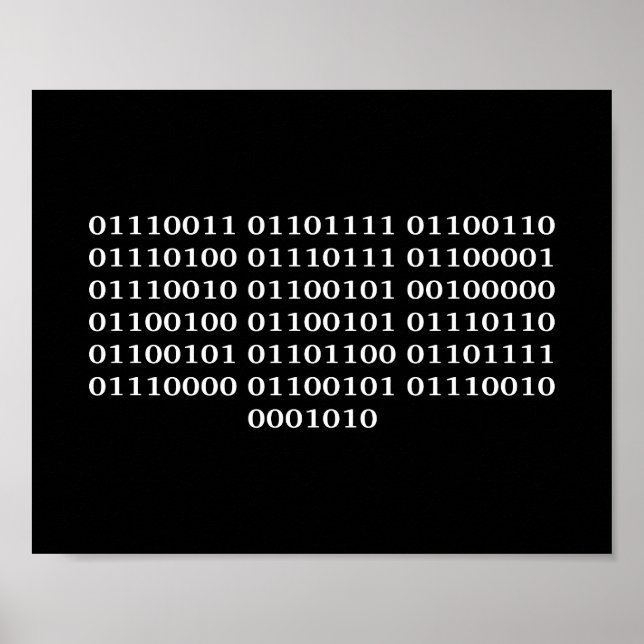 Software developer poster (Front)