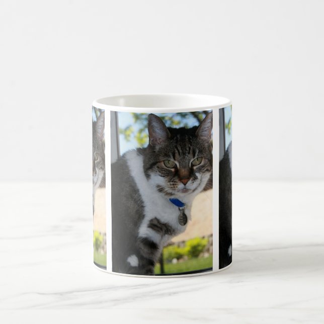 Softy Tabby Cat Mug (Center)