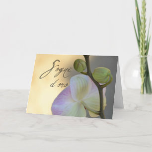 Sogni d'oro (sweet dreams) orchid card