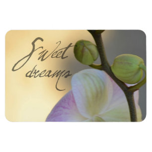 Sogni D'oro (sweet dreams) Orchid Magnet