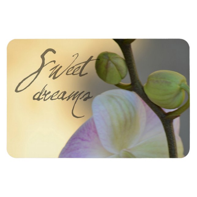 Sogni D'oro (sweet dreams) Orchid Magnet (Horizontal)